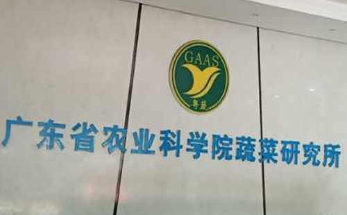 广东省农业科学院蔬菜研究所健身房