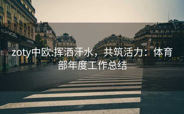 zoty中欧:挥洒汗水，共筑活力：体育部年度工作总结