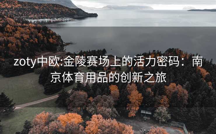 zoty中欧:金陵赛场上的活力密码：南京体育用品的创新之旅