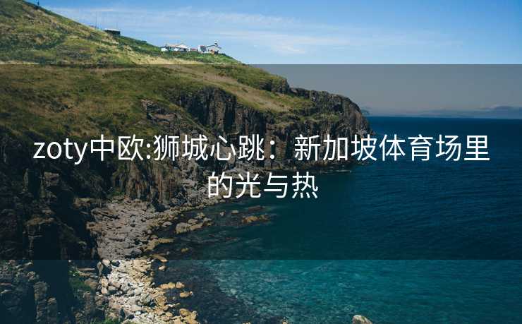 zoty中欧:狮城心跳：新加坡体育场里的光与热