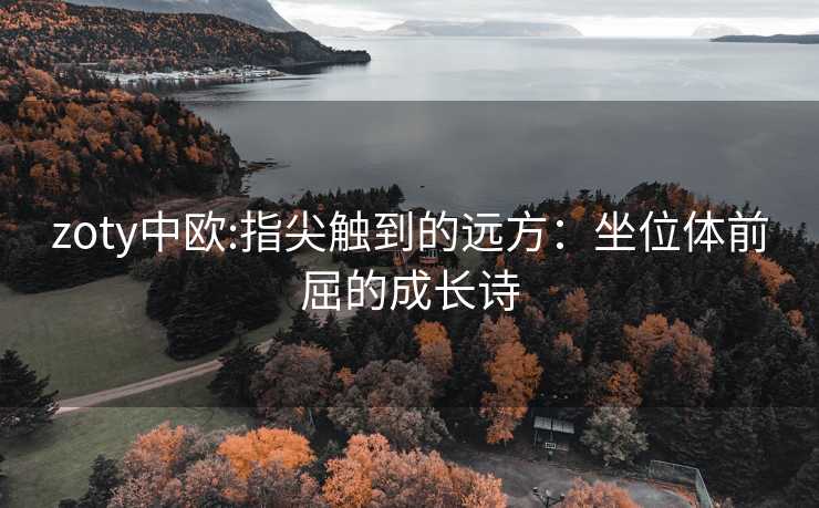 zoty中欧:指尖触到的远方：坐位体前屈的成长诗