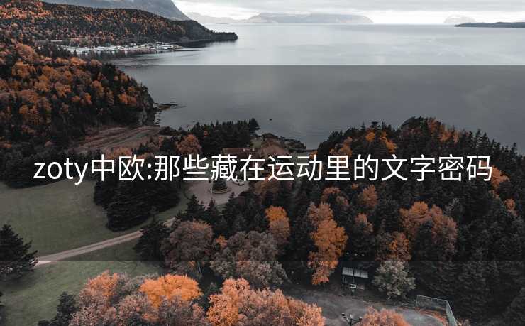 zoty中欧:那些藏在运动里的文字密码