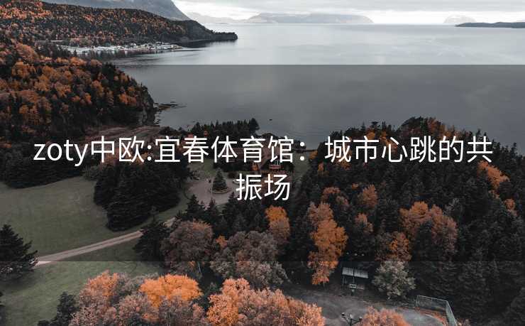 zoty中欧:宜春体育馆：城市心跳的共振场