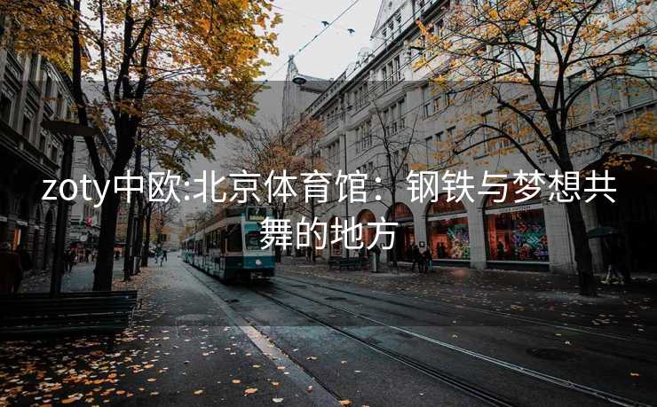 zoty中欧:北京体育馆：钢铁与梦想共舞的地方